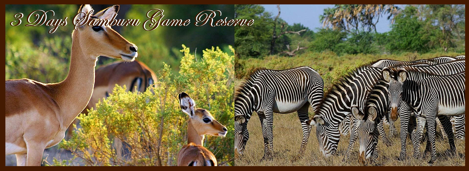 Samburu Game Reservesamburushaba And Buffalo Springs Tour Flexivel